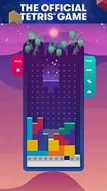 Tetris screenshot #4