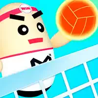 3d_amazing_volleyball গেমস