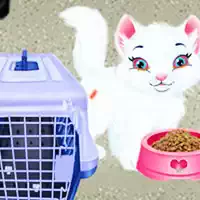 baby_taylor_pet_care Oyunlar