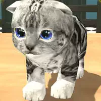 ເກມເກມແມວ
