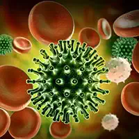 ល្បែងផ្គុំរូប Coronavirus