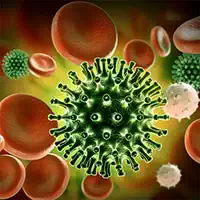 ស្លាយ Coronavirus