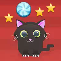 Schnitt Für Katze