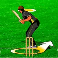 ક્રિકેટ રમતો રમતો
