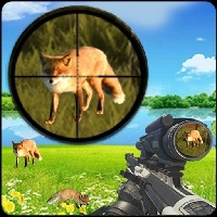 Fox Hunting Sniper Shooting