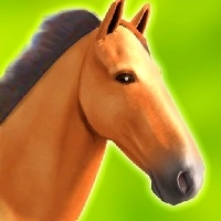 horse_run_3d ហ្គេម