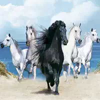 horses_puzzle Games