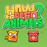 how_to_feed_animals Games