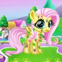 អ្នកថែទាំ Pony តូច