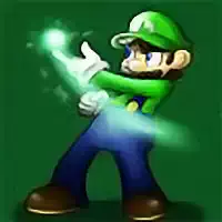Luigis Misadventures