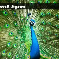 Peacock Jigsaw game screenshot