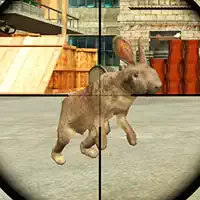 Rabbit Shooter