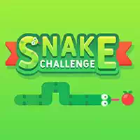 Snake Challenge game screenshot