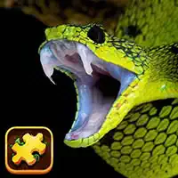 Snake Puzzle Challenge game screenshot
