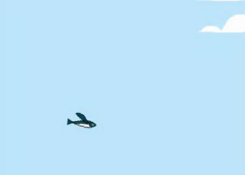 Flappy Flying Fish game screenshot